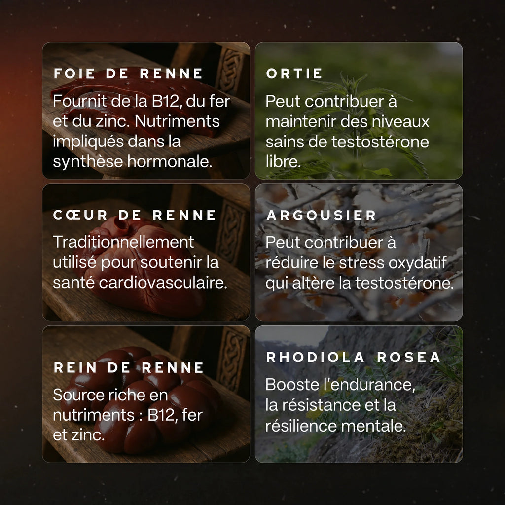 Booster de testostérone ancestral