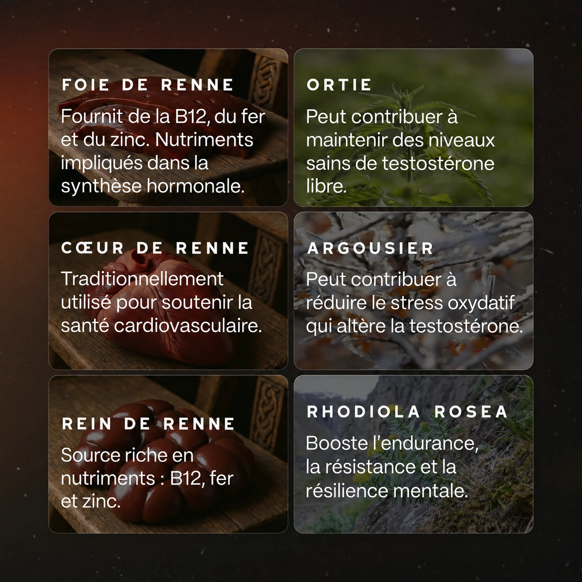 Booster de testostérone ancestral