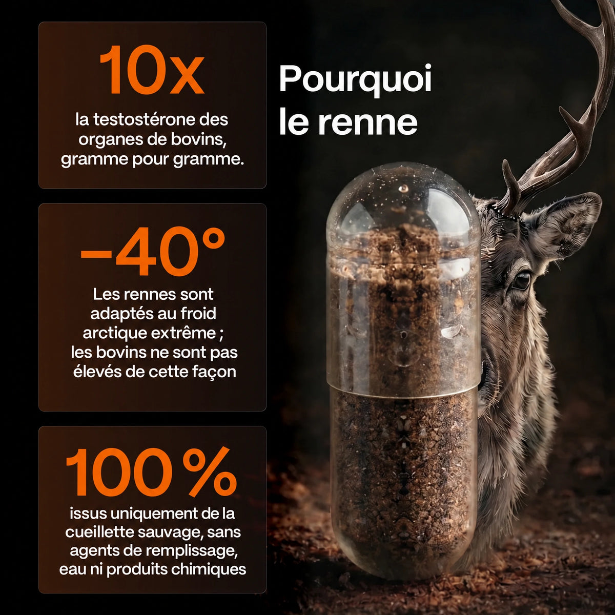 Booster de testostérone ancestral